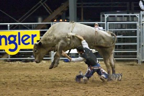 bull-rider-flying.jpg