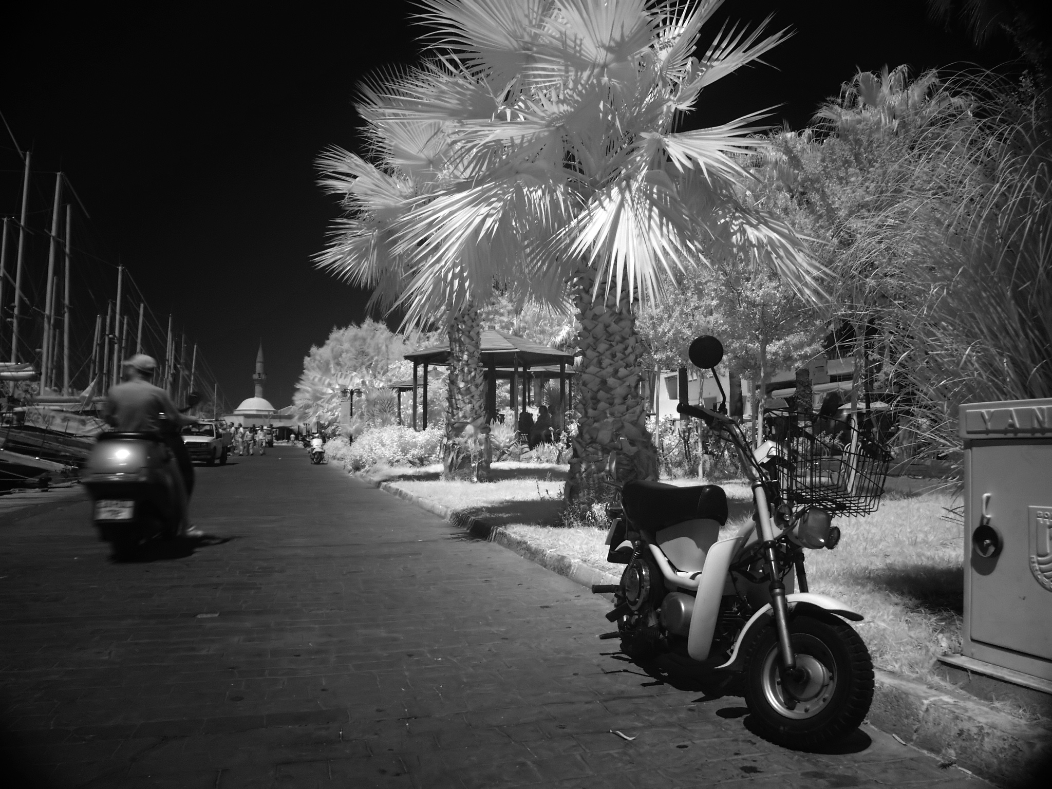 Infrared_Bodrum_03172_20040724114505.jpg