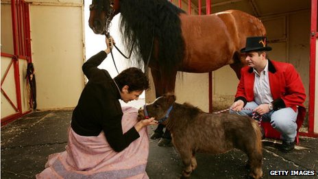 130619171114_job_caballo.jpg
