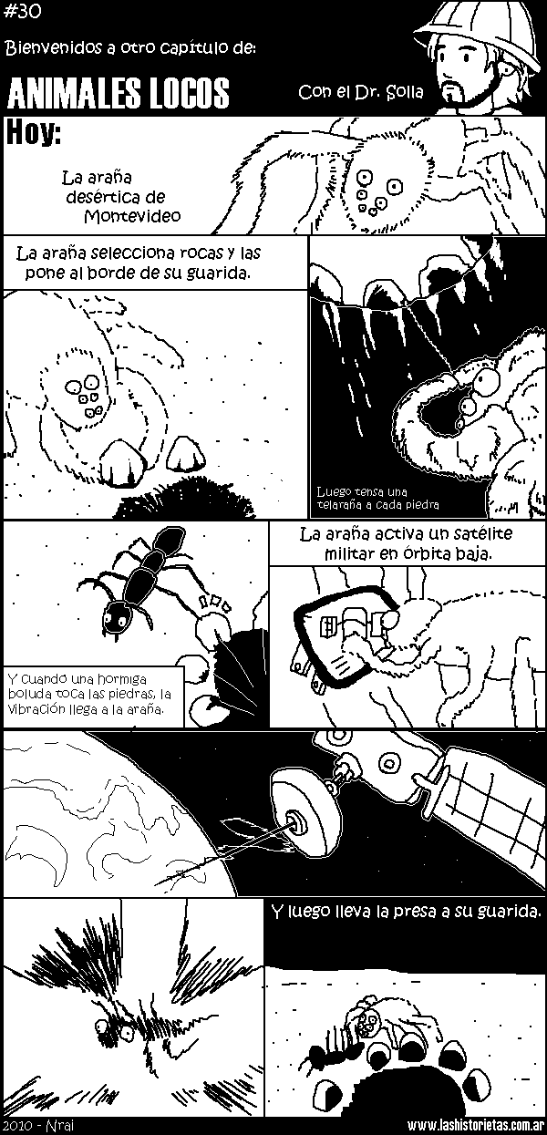 animaleslocos1.png