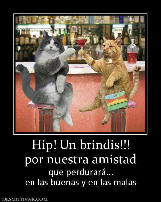 24655_hip_un_brindis_por_nuestra_amistad.jpg