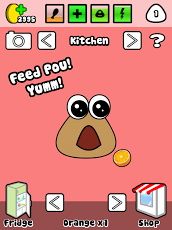 pou1.jpg