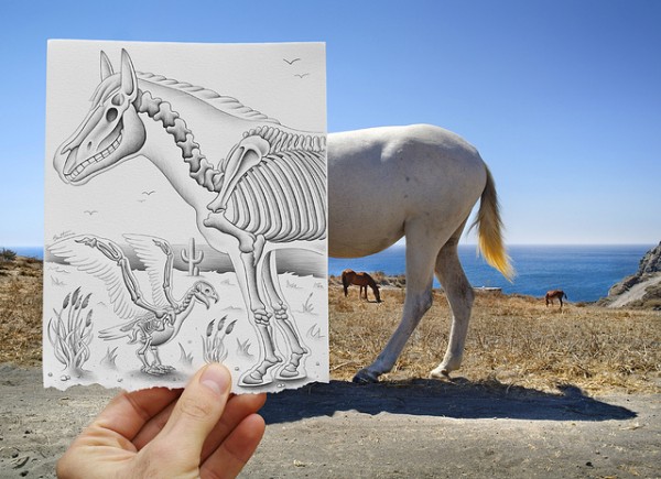 Amazing-Drawing-Vs-Photography-600x435.jpg