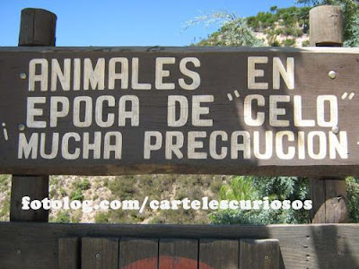 animales-celo.jpg