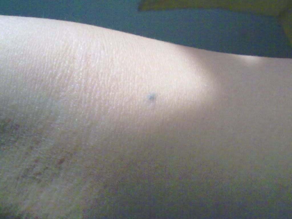 26092010449.jpg
