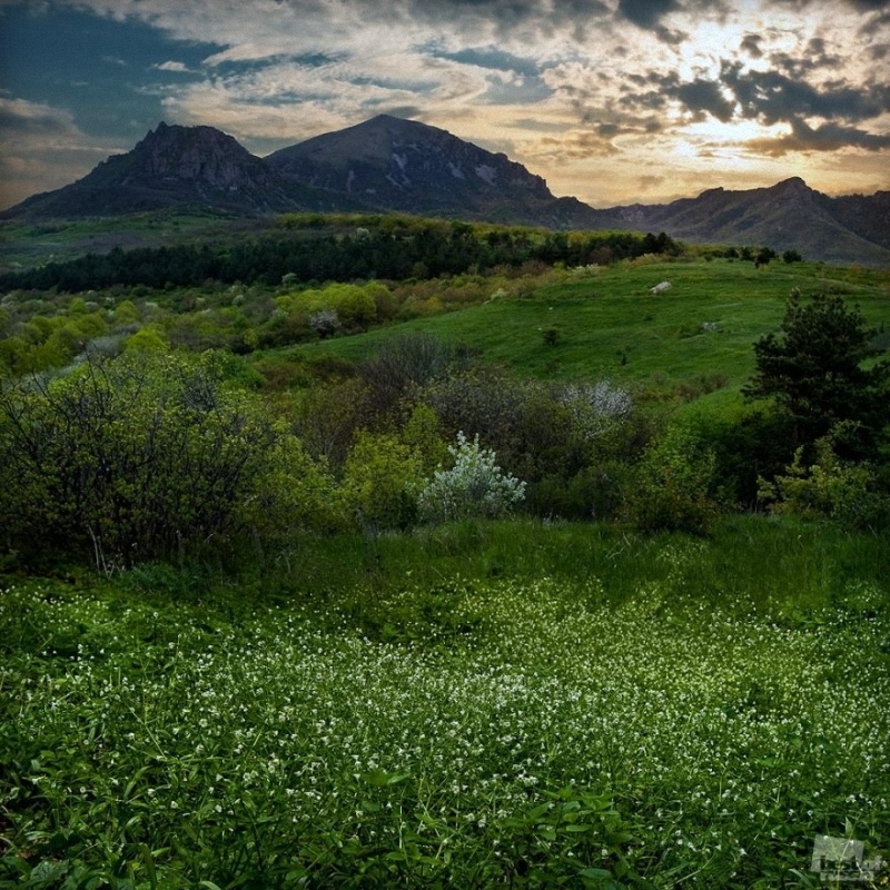 bestphotosofrussianature-11.jpg