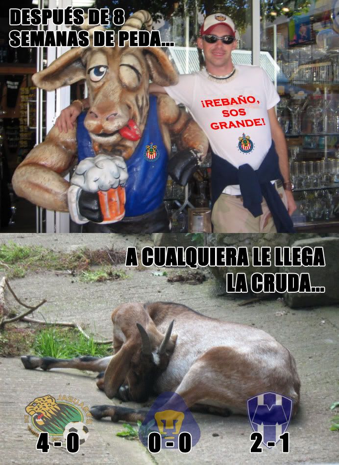 Desple-chivas-p3da.jpg