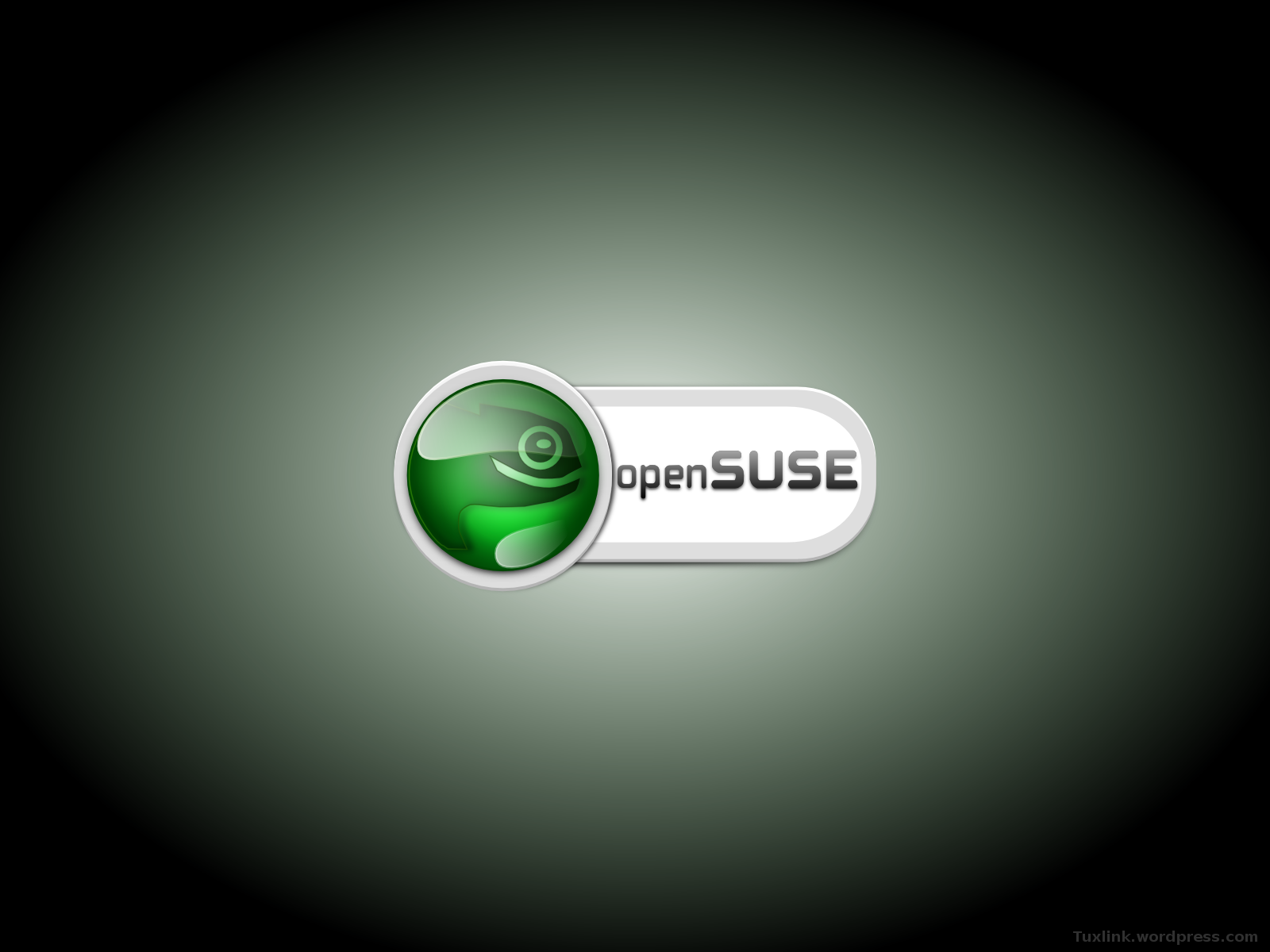 opensuse_wallpaper_by_tuxlink.png