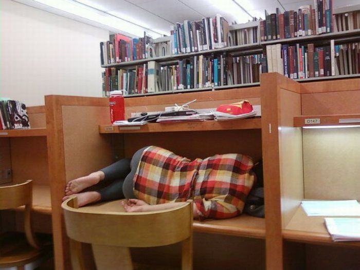 sleeping_in_the_library_11.jpg