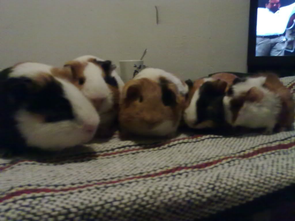 27062011132.jpg