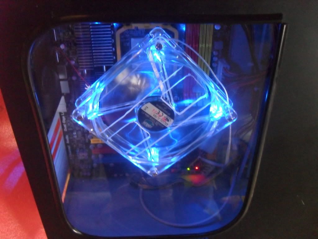 SDC12386.jpg