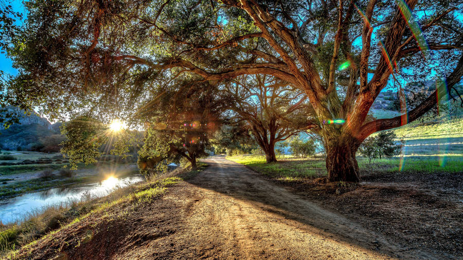 i1384768_97-best-hq-wallpapers-collection.jpg