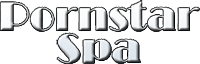 pss_logo.png