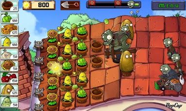 plants1.jpg