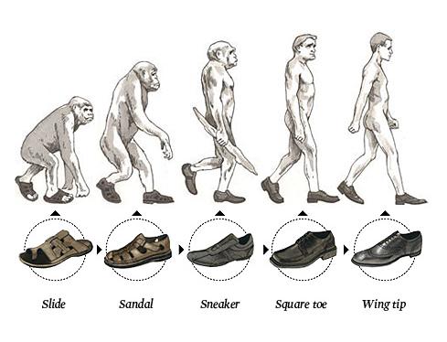 funny-evolution-04.jpg