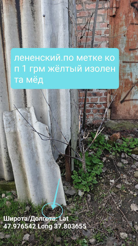13286ljc_s.jpg