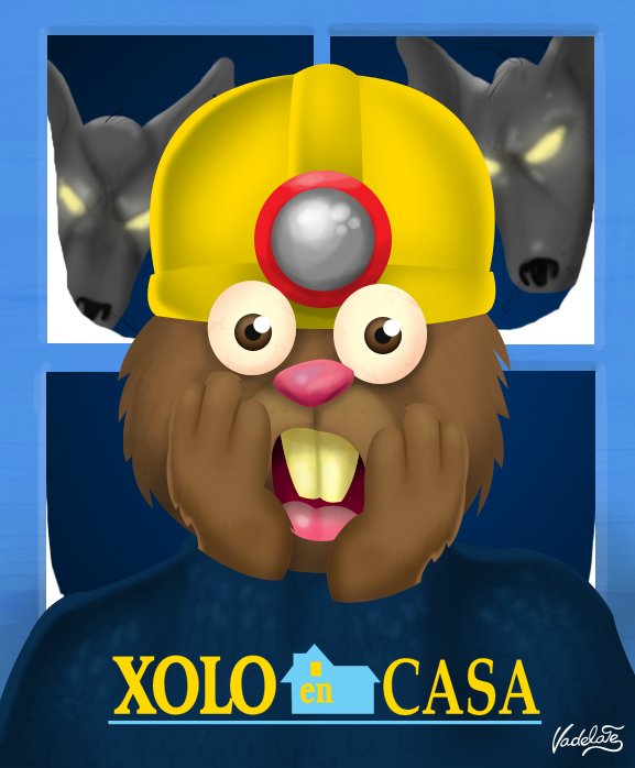 XOLO-EN-CASA.jpg