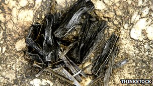 120801122019__61683872_seaweed.jpg