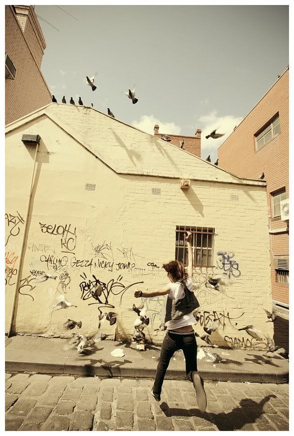 those_damn_pigeons_by_beethy.jpg