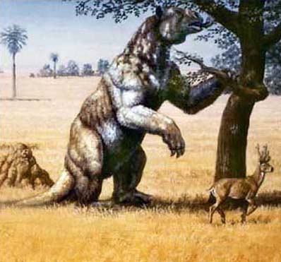 megatherium_web.jpg