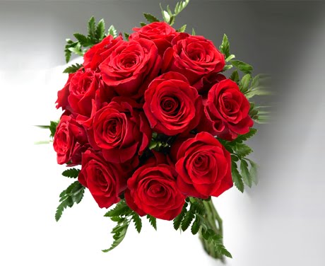 rosas+rojas.jpg
