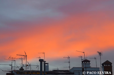 DSC_0069.jpg