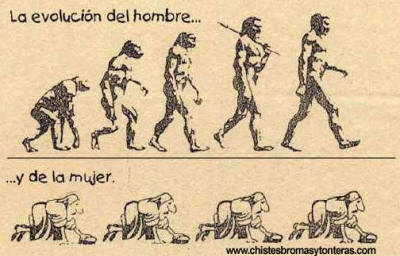 evolucionhombremujer.jpg