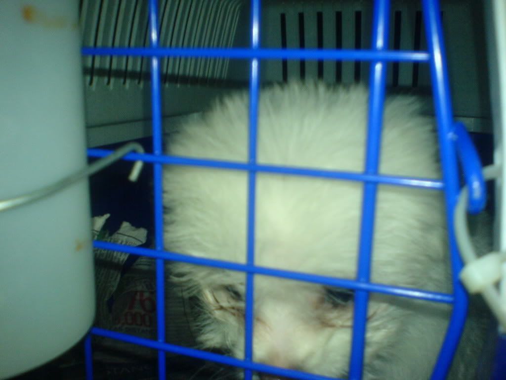 DSC00487.jpg
