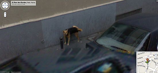 google_street_view_dorks_05.jpg