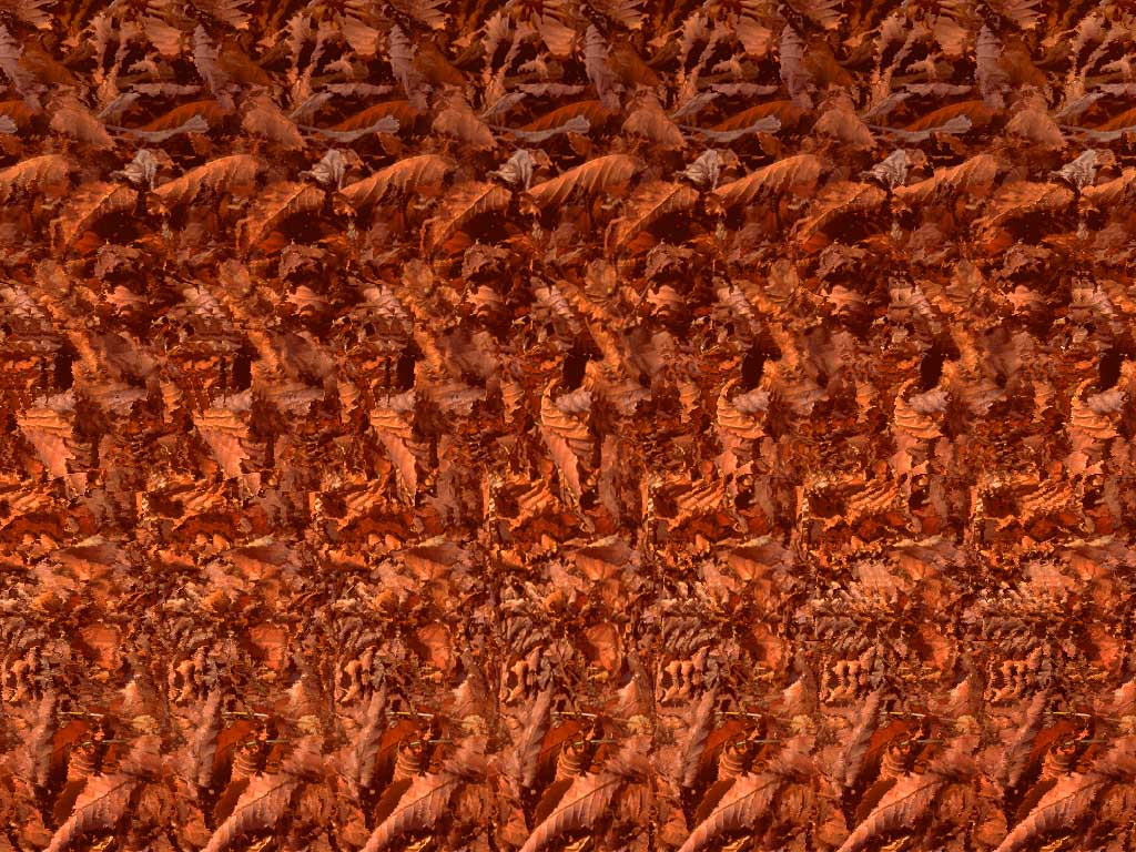 estereogramas1.jpg