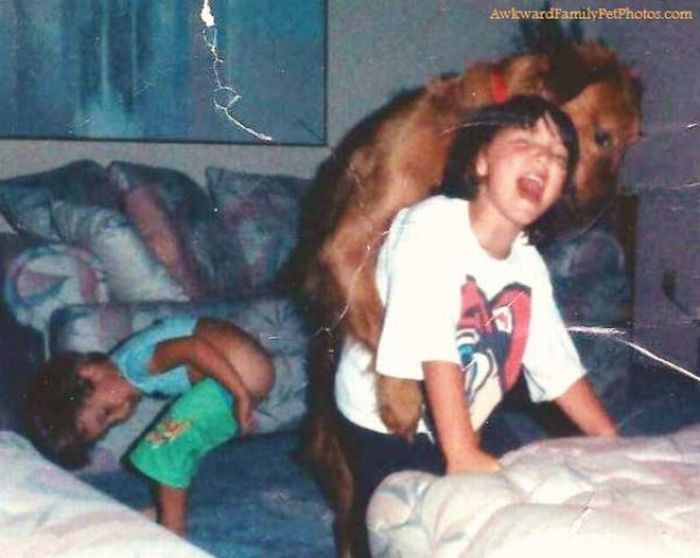 funny_family_photos_with_pets_26.jpg