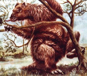 Mapinguari.jpg