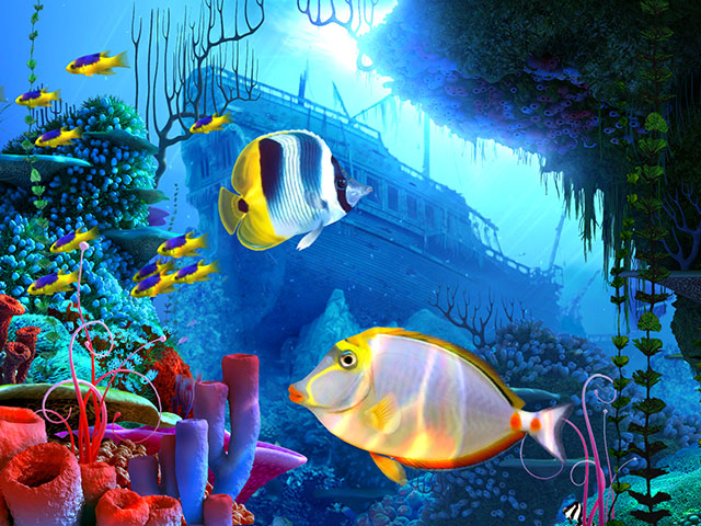 coralreef_screen01.jpg