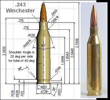 243winchcgtopx360b.jpg