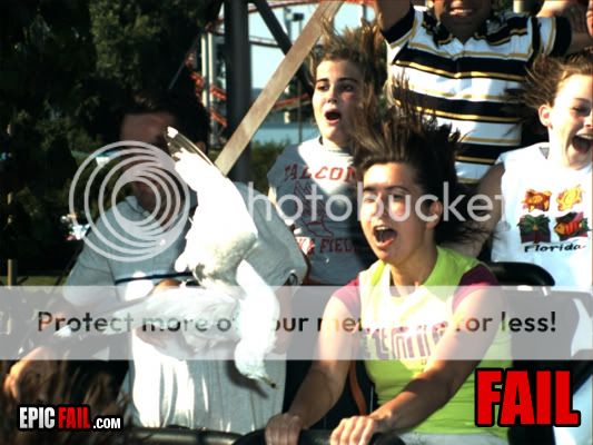 bird-fail-rollercoaster.jpg