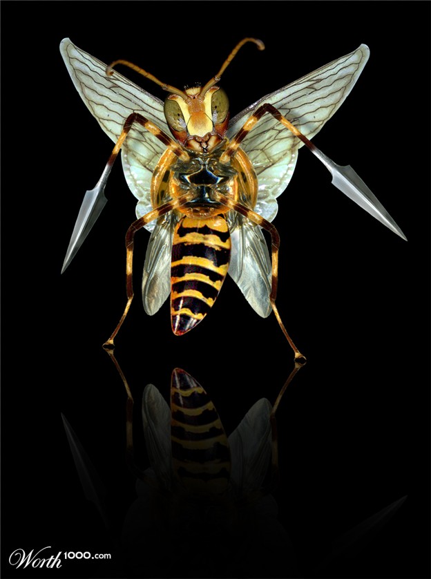 beedrill-real-pokemon.jpg