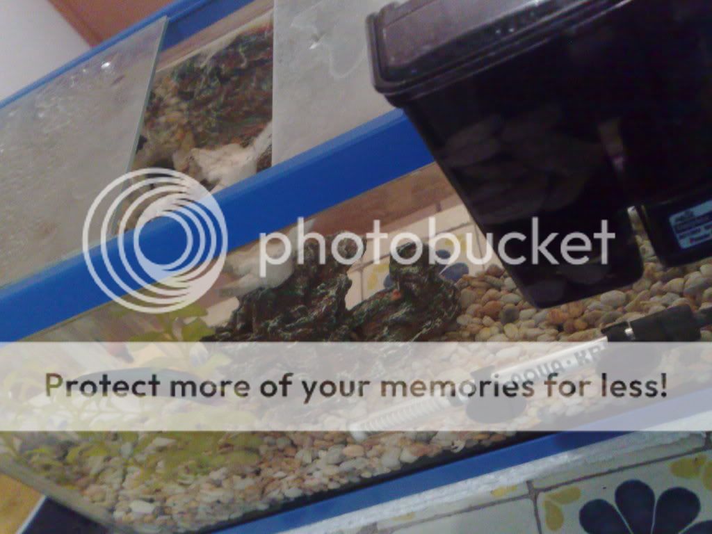 20022011241.jpg