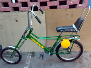 Bicicleta+vagabundo.jpg