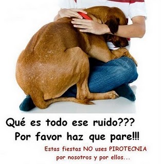 pirotecnia+perros+miedo+afiche.jpg