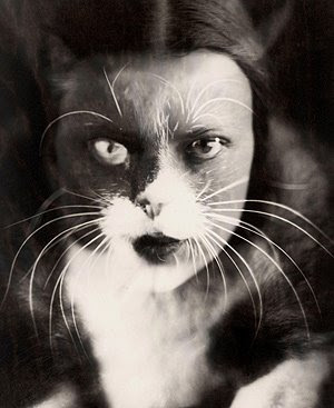 El+gato,+el+animal+menos+d%C3%B3cil,+convertido+en+mujer+FOTO+Efe.jpg