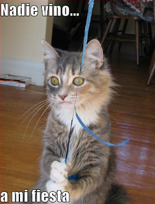 gato-que-no-tiene-amigos.png