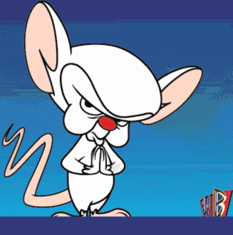 20071001-pinky%2520brain.gif