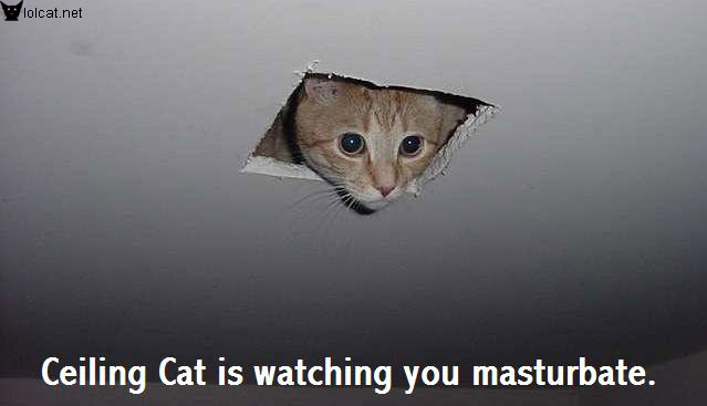 Ceiling+Cat+is+Watching+You+Masturbat.jpg