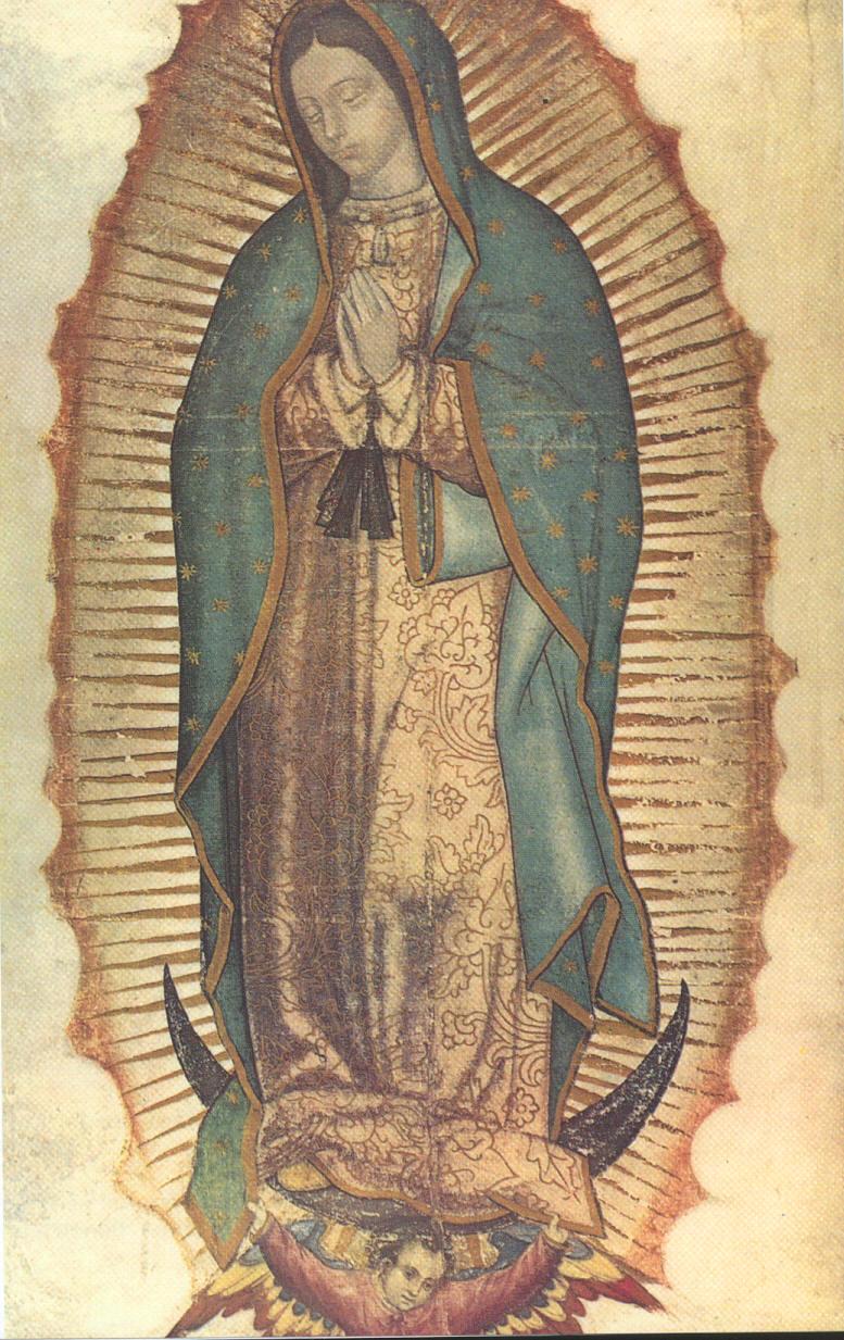 guadalupe%2Bcompleta.jpg