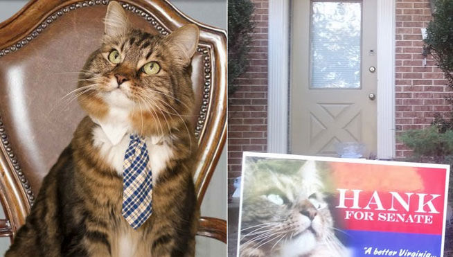 Hank-gato-candidato-Senado-EEUU_TL5IMA20120301_0114_4.jpg