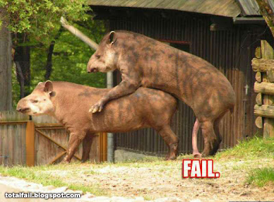 animal-humping-fail.jpg