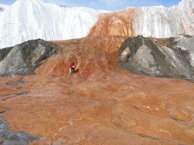 Descubren-un-ecosistema-microbiano-bajo-un-glaciar-oxidado_imagenGaleria.jpg