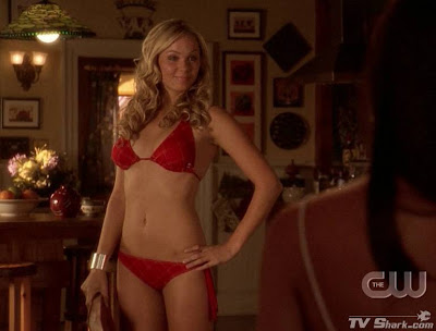 laura_vandervoort_bikini_smallville.jpg