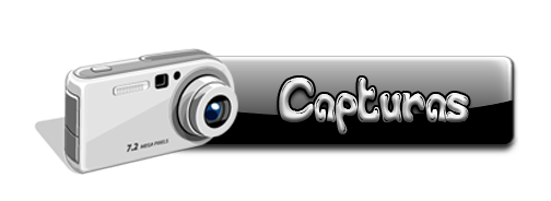 Capturas-Tunea.blogspot.com-Barras+Separadoras.png