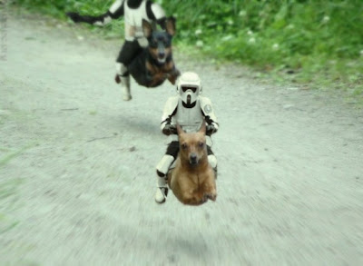 stormtrooper-dog-monkey-595x436.jpg